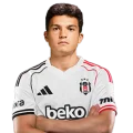 Devrim ahin