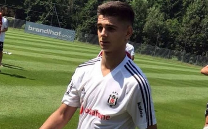 Beşiktaş'ın 14. yabancısı: Ajdin Hasic