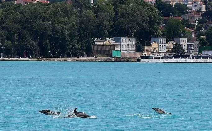 stanbul Boaz'nda konuulan grnt iin aklama