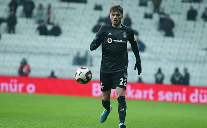 'Fenerbahe, Adem Ljajic'i beenmedi'