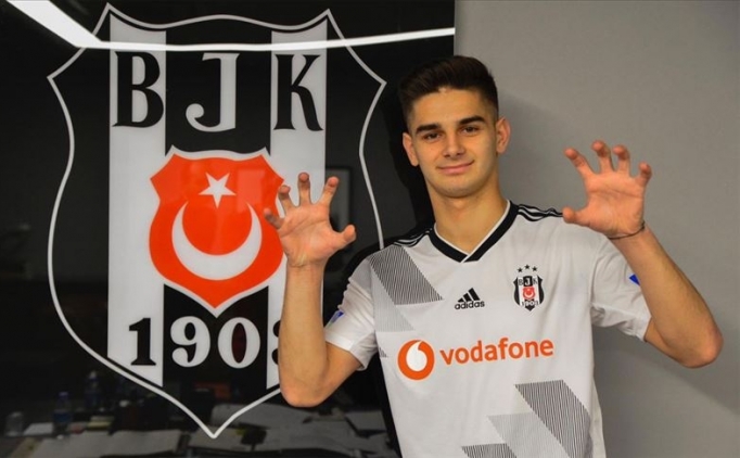 Ajdin Hasic ve Erdem Se�gin, Be�ikta�'a d�n�yor