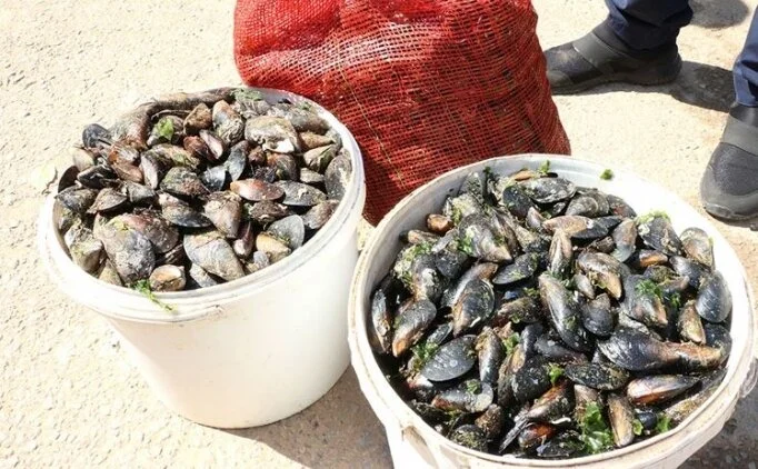 Midye dolma evde nasıl yapılır? En kolay Midye dolma tarifi, midye dolma malzemeleri neler?