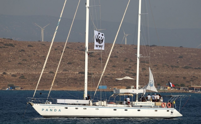 R�zgar s�rf�nde dev �ampiyona sona erdi