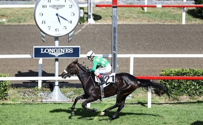 Ahmet �elik, Gazi Ko�usu'nda yok