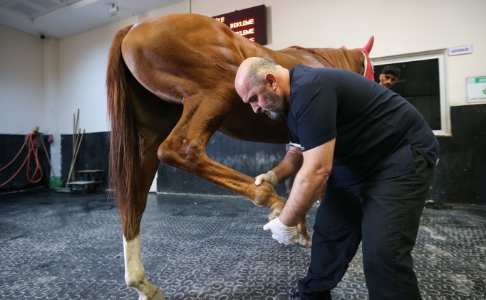 Bursa Osmangazi Hipodromu'nda yar��an atlara 7-24 tedavi