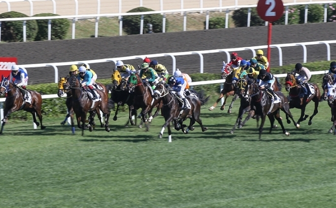 At yar��lar�nda Gazi Ko�usu heyecan�