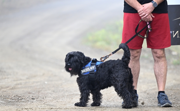 �zmir'de k�pekle kros etkinli�i d�zenlendi