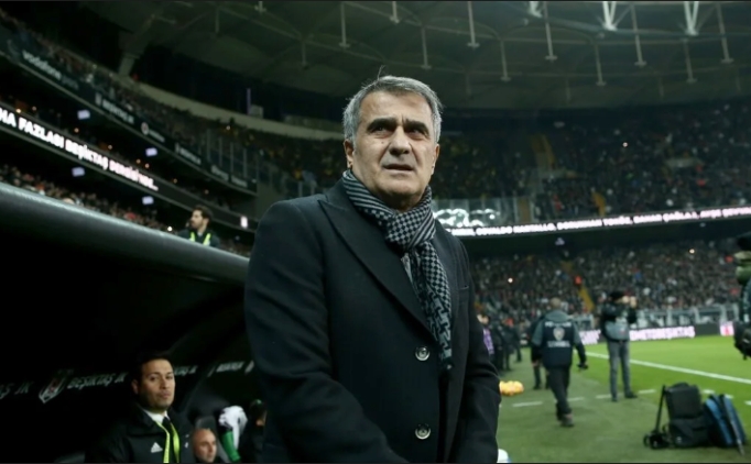 �enol G�ne�, Avusturya'y� istiyor