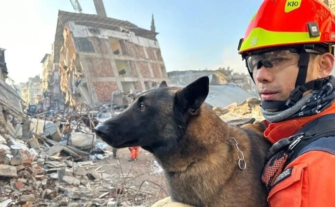 3 arama kurtarma k�pe�i ayaklar�ndaki bandajlarla �al���yor!