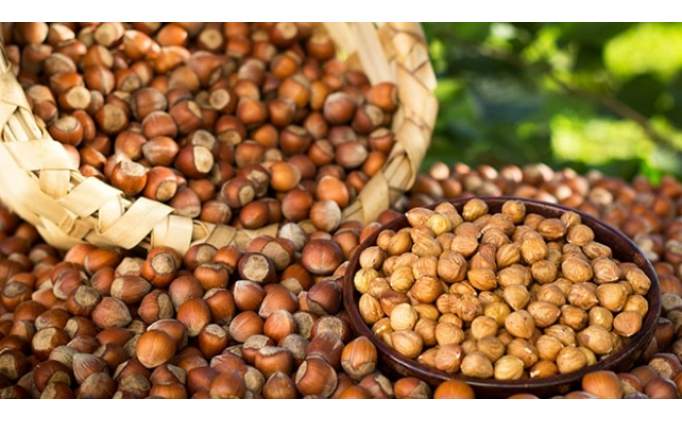 2025 fndk fiyatlar akland m? Fndk fiyatlarnda son durum