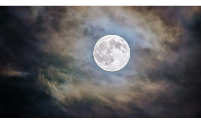 Bur Yorumlar: 11 Austos Gnlk Bur Yorumlar