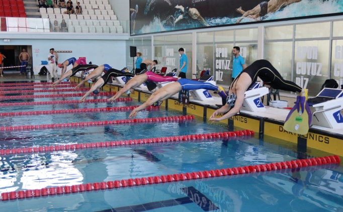 Paletli Y�zme A��k Ya� Bireysel T�rkiye �ampiyonas� ve milli tak�m se�meleri ba�lad�