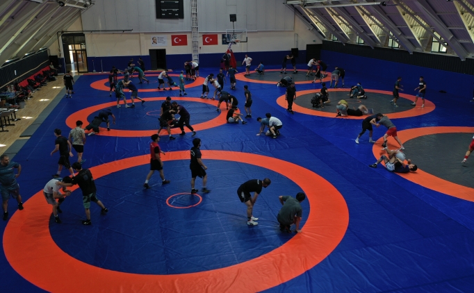 Trkiye Grei'nde Jenerasyon Deiimi: Taha Akgl'den Yeni ampiyonlara Gven