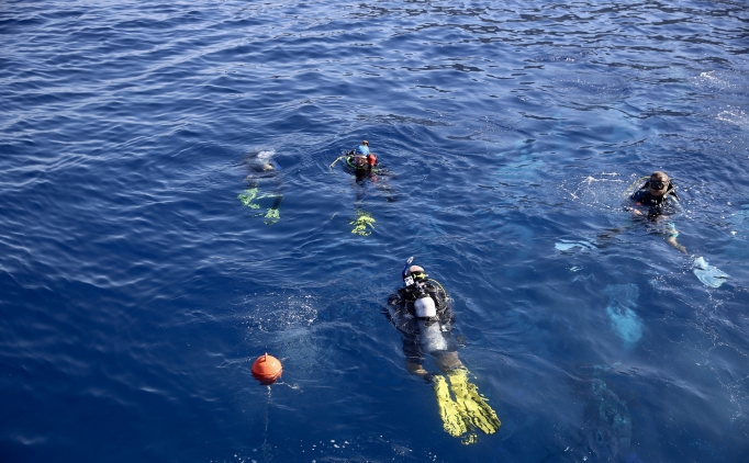 Alt�n Palet Sualt� G�r�nt�leme T�rkiye �ampiyonas� Fethiye'de ba�lad�