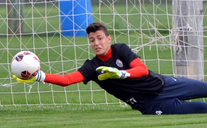 Altnordu'da buruk sevin: Berke zer