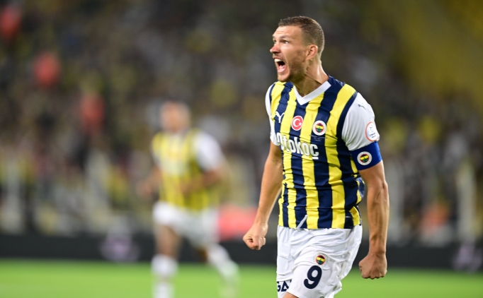 Edin Dzeko, Fiorentina ile g�r��t�!