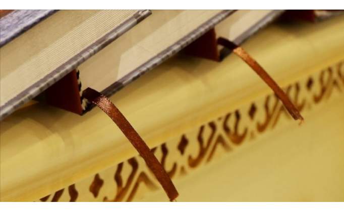 Parasosyal nedir, ne demek?