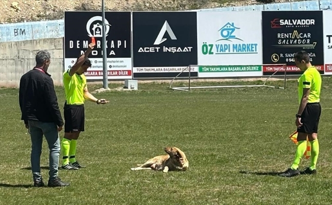 Amat�r ma�ta sahaya giren k�pe�e k�rm�z� kart!