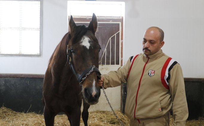 T�rk at��l���n�n efsane ayg�rlar�ndan Victory Gallop, emeklili�ini �zmit'te ge�iriyor