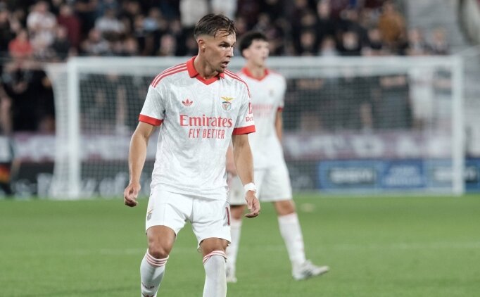 Newcastle United, Amar Dedic'i a��klad�