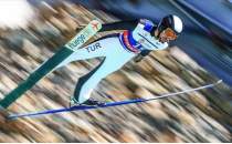 Fatih Arda pciolu, Almanya