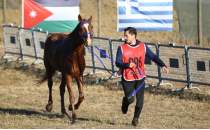 29 Ekim Cumhuriyet Kupas Uluslararas Atl Dayankllk Yarmas