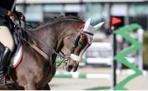 Gen binici Avrupa ampiyonas