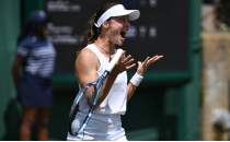 Zeynep Snmez, Amerika Ak