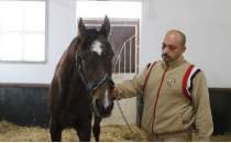 T�rk at��l���n�n efsane ayg�rlar�ndan Victory Gallop, emeklili�ini �zmit'te ge�iriyor