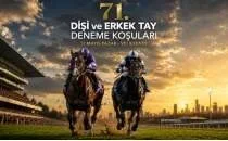 Gazi �ampiyonu bu ko�udan ��kabilir! G�zler Tay Deneme yar��lar�nda