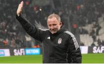 Be�ikta�'ta d�n���m meyvelerini veriyor