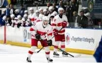 Buz Hokey Milli Tak�m�m�z, klasman y�kseldi