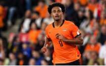 Hollanda evinde hata yapmad�: S�rbistan'� 2-1 ge�ti