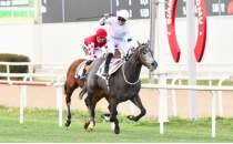 Y�l�n ilk G1 ko�usu Ege Derbisi'ne Hipodrom.com deste�i