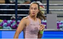 Zeynep S�nmez, Almanya'da ana tabloda