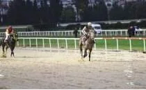 TSYD �zmir Ko�usu'nda zafer Queen Sev'in