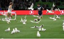 Avustralya'da ilgin� anlar: Sahay� mart�lar bast�